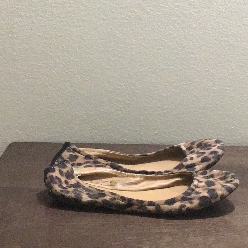 Leopard shoes